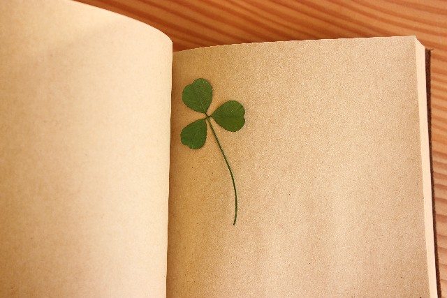 3a92532686ff54356aba8e71275b09f7_s