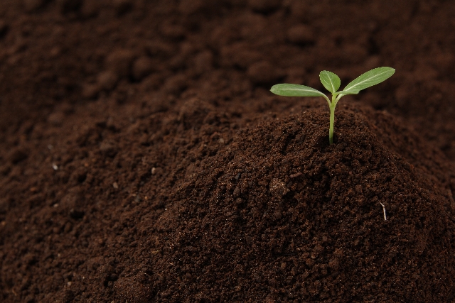 d074c86c06d20749de35a17ee75f0960_s